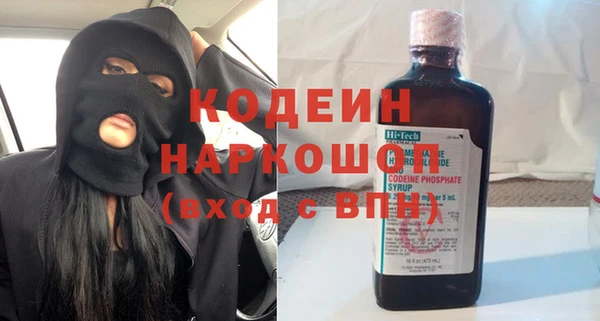 прущие грибы Осинники