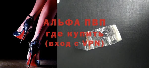 прущие грибы Осинники