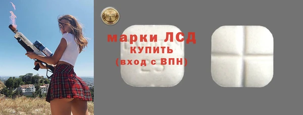 прущие грибы Осинники