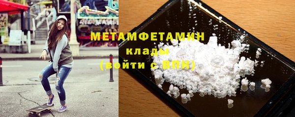 прущие грибы Осинники