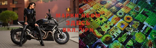 прущие грибы Осинники