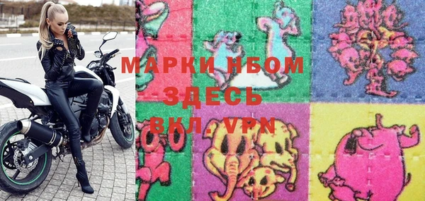 прущие грибы Осинники