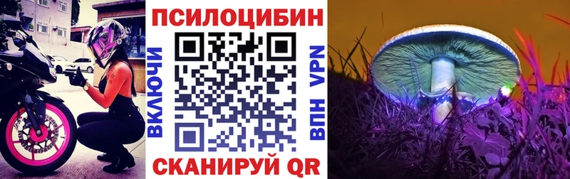 Галлюциногенные грибы Psilocybe  Бородино 